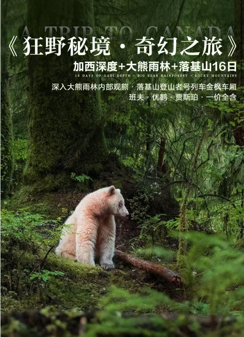 ����г̡���Ұ�ؾ� ���֮�á��������..