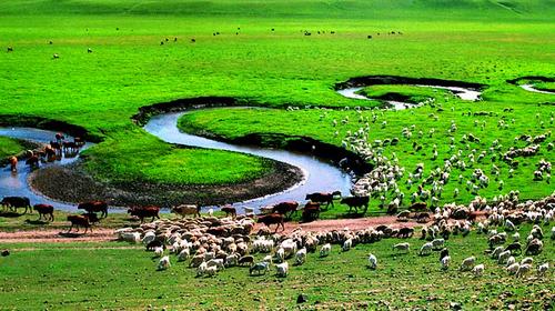 ϣ�����ʲ�ԭ���Ⲽ��ɳĮ���ɼ�˼����˫�������г�