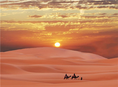 ������� ϣ������-�Ⲽ��˫��4��